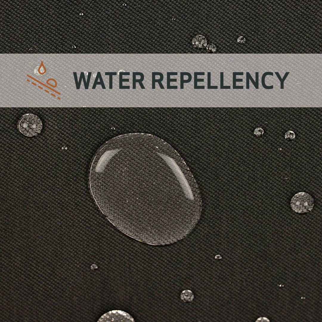 Women's Daily Driver Shorts