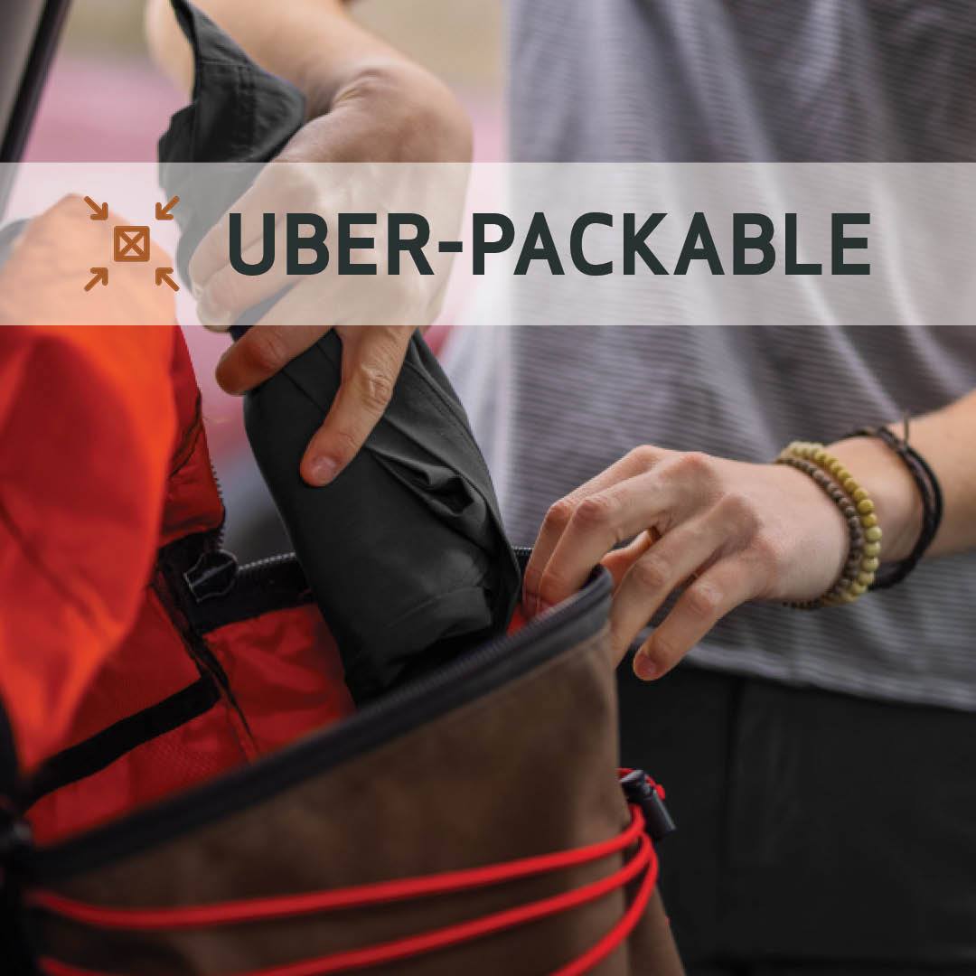 Women's Daily Driver Shorts